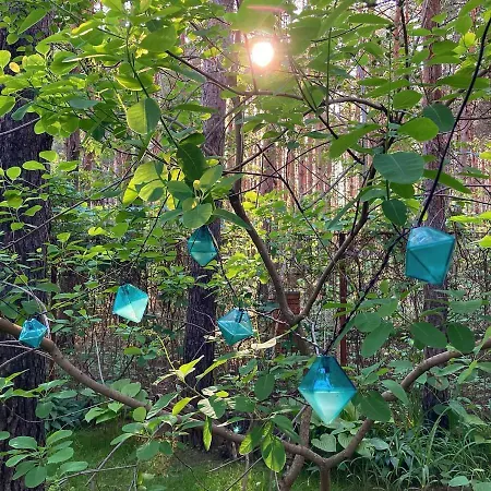 Pensjonat Dunavski Raj Golubac