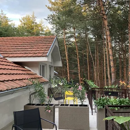 Guest house Dunavski Raj Golubac