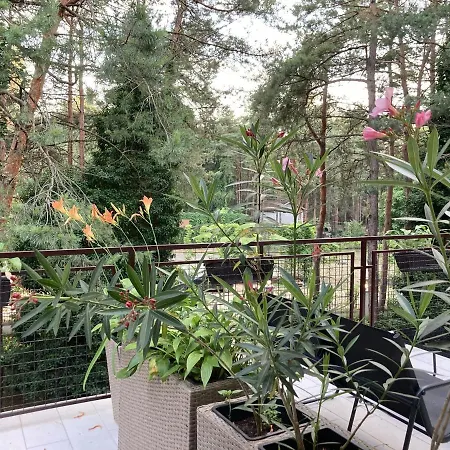 Dunavski Raj Guest house 3*