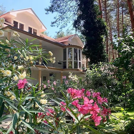 Guest house Dunavski Raj