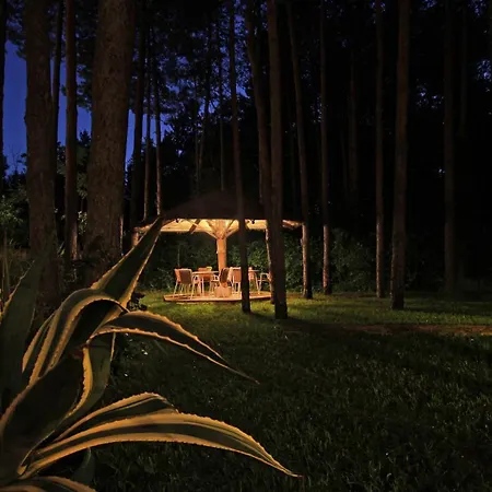 Guest house Dunavski Raj