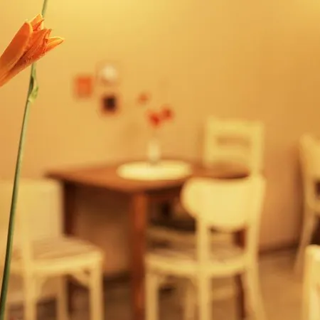 Dunavski Raj Pensjonat Golubac