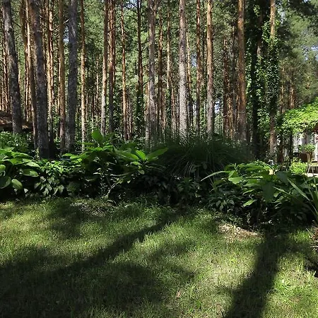 Dunavski Raj Guest house