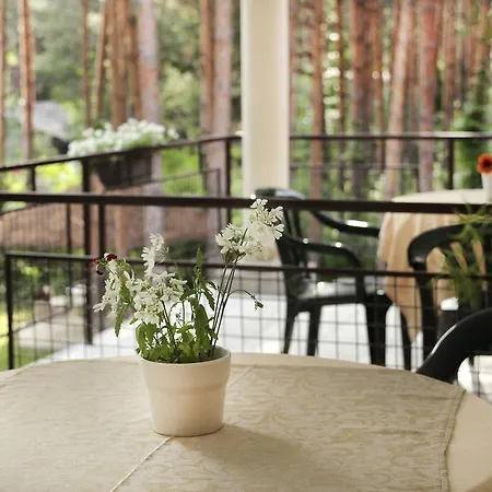 Pensjonat Dunavski Raj