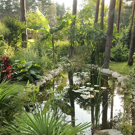 Pensjonat Dunavski Raj 3*