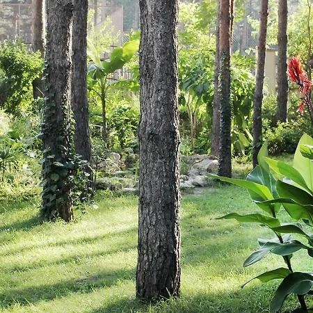 Pensjonat Dunavski Raj 3*